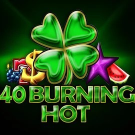 Logo of 40 Burning Hot from Amusnet Interactive at Visa Casino