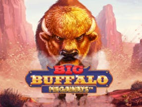 Big Buffalo Megaways logo by Skywind Group at Visa CasinoBig Buffalo Megaways