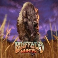 Logo of Buffalo Hunter from Nolimit City at Visa Casino