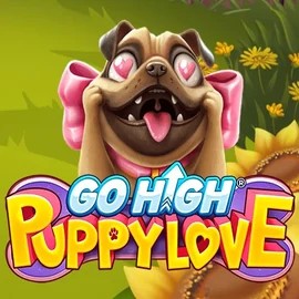 Go High Puppy Love logo by RubyPlay at Visa CasinoGo High Puppy Love